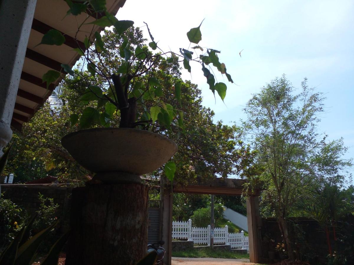 Villa Muthu Sri Lanka Kalutara