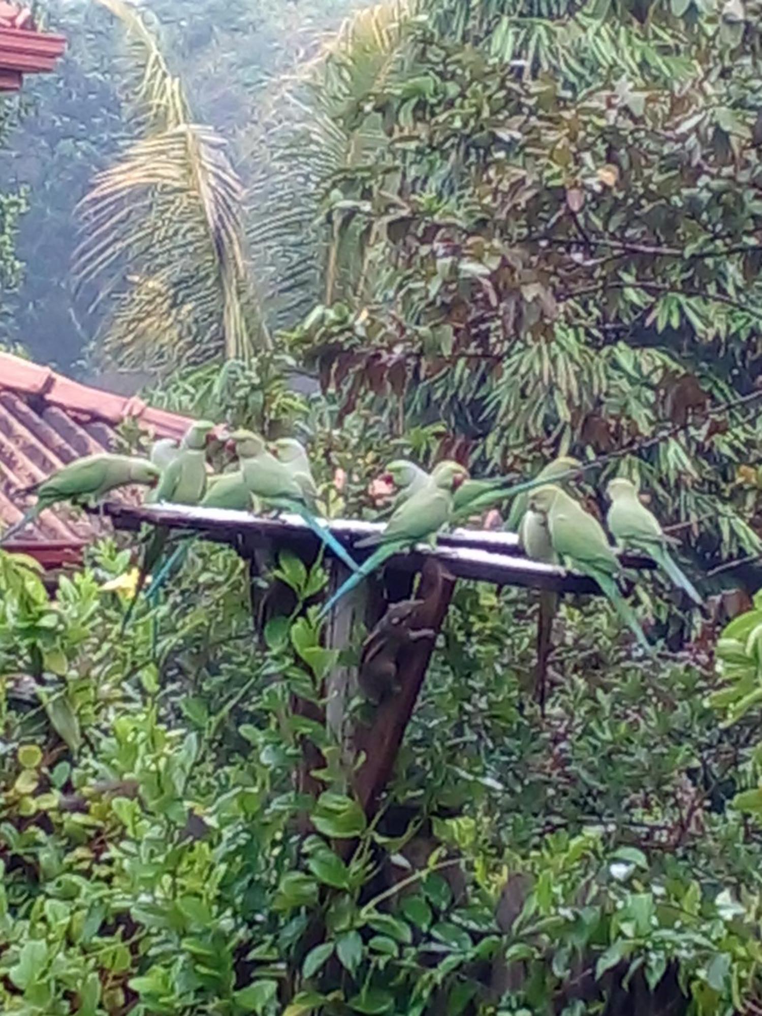 Muthu Sri Lanka * Kalutara